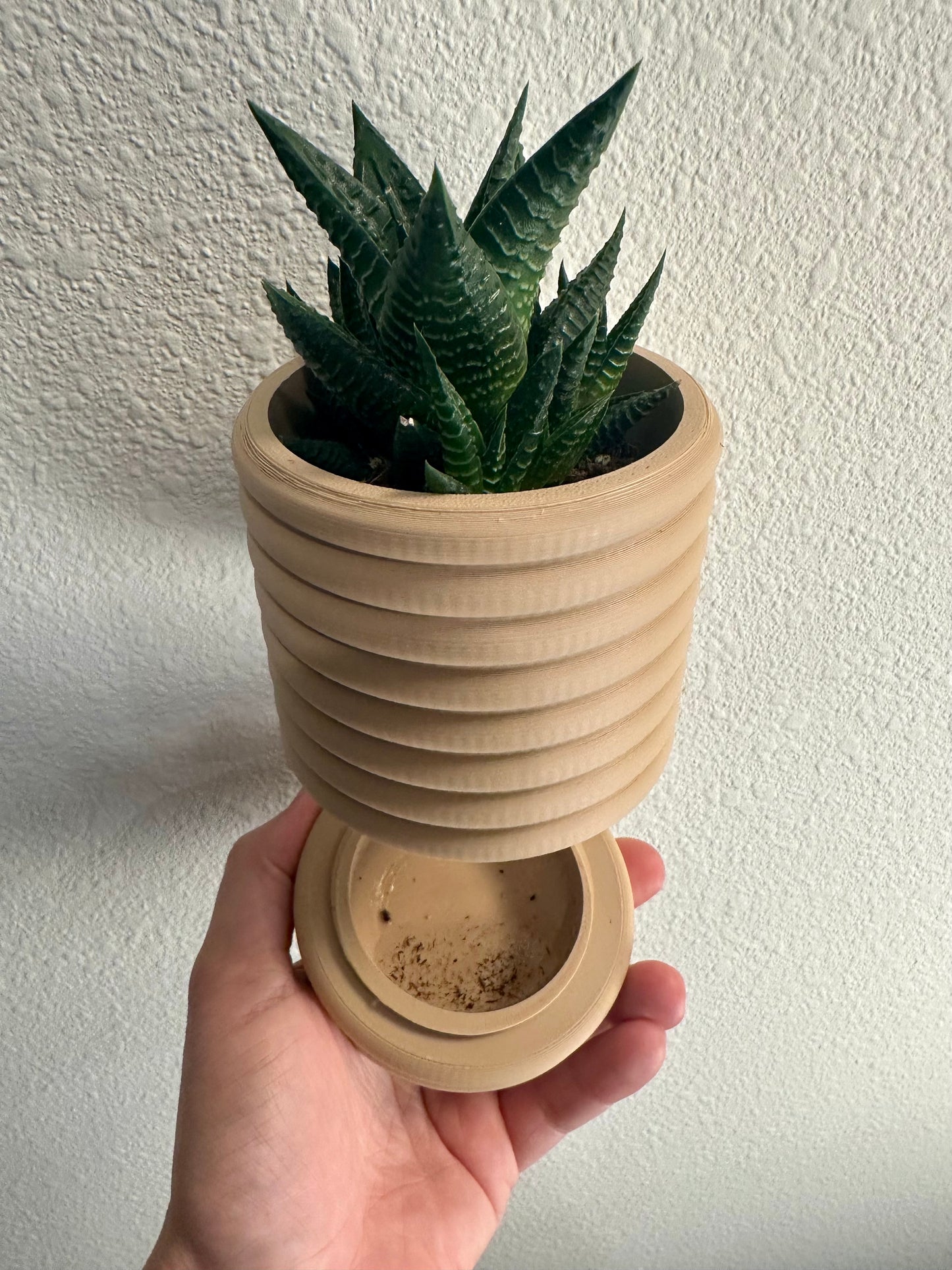 Wall Mounted Bubble Planter