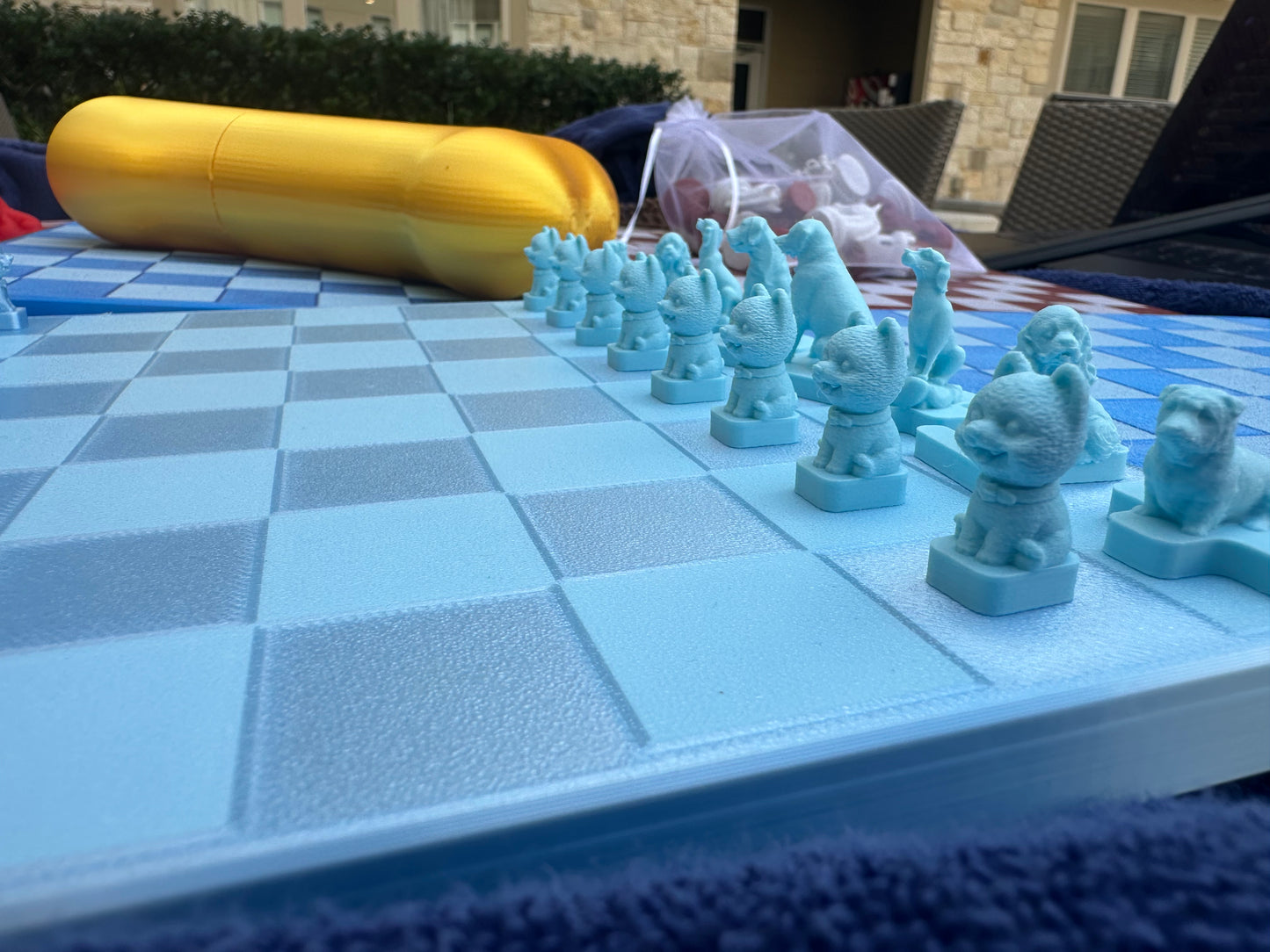 Dog Travel Chess