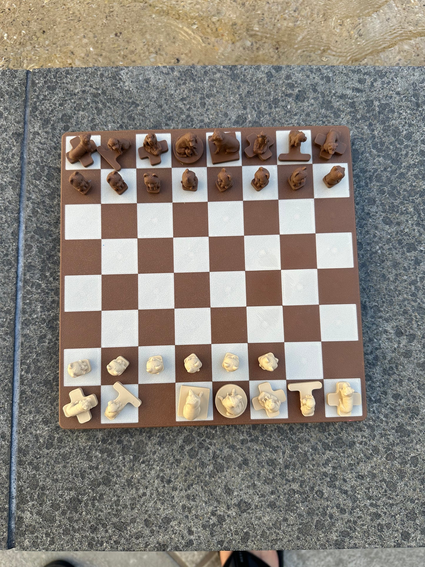 Travel Dog Chess