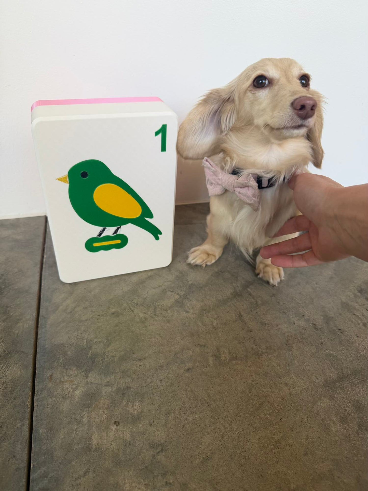 A mega mahjong tile next to a dachshund
