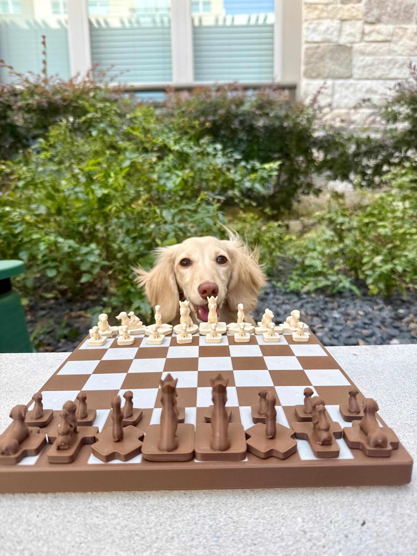 Brown and cream Wiener Dog Chess set on a chessboard with a real dachshund in the background.