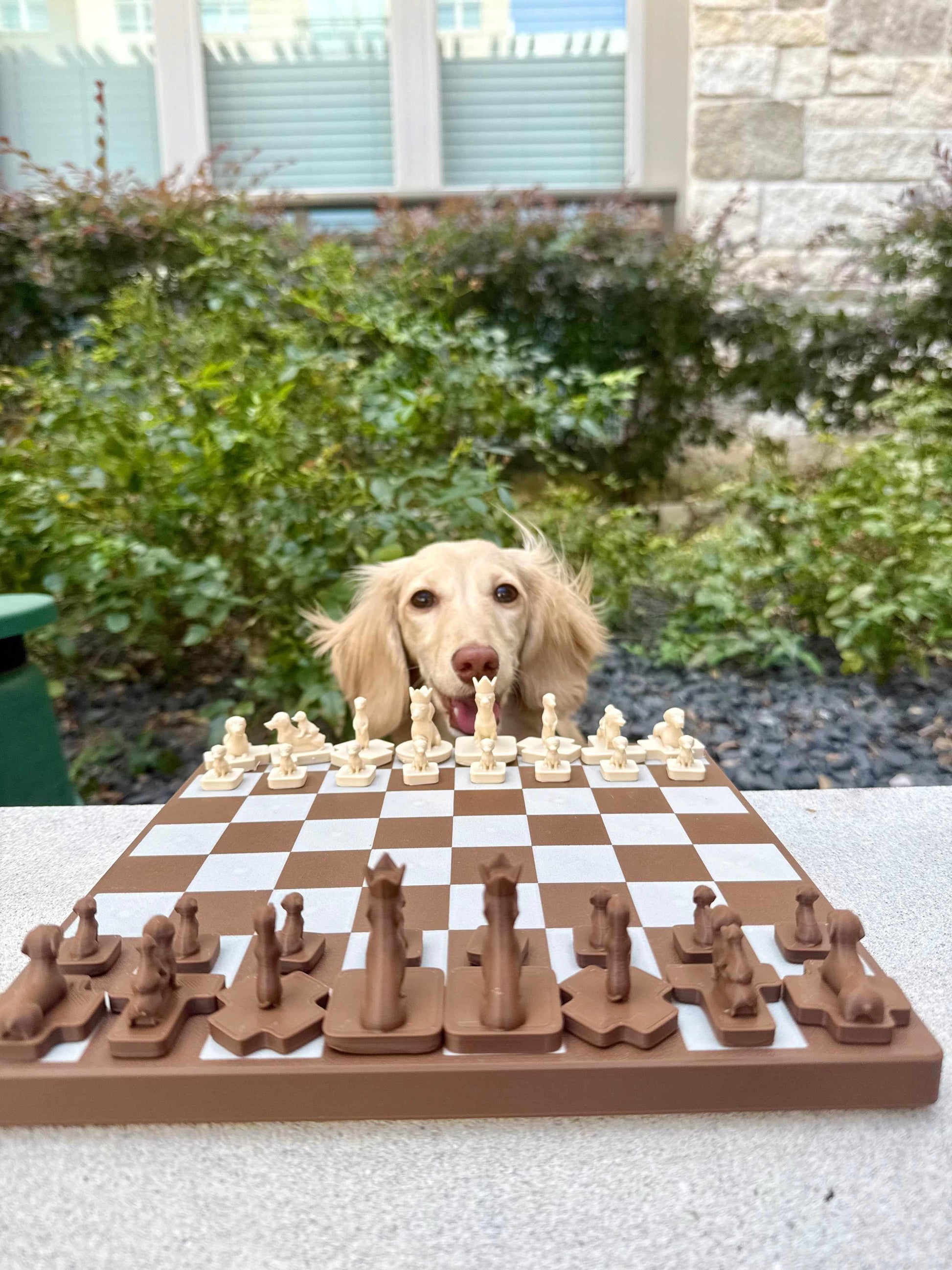 Brown and cream Wiener Dog Chess set on a chessboard with a real dachshund in the background.